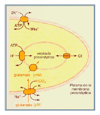 Recaptación