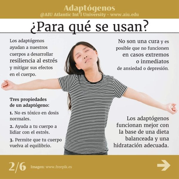 30MyAIUSlidesSpanish02