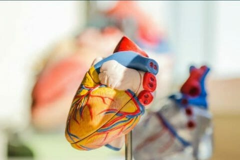 Detect a heart attack 10 years before it happens,  thanks to science