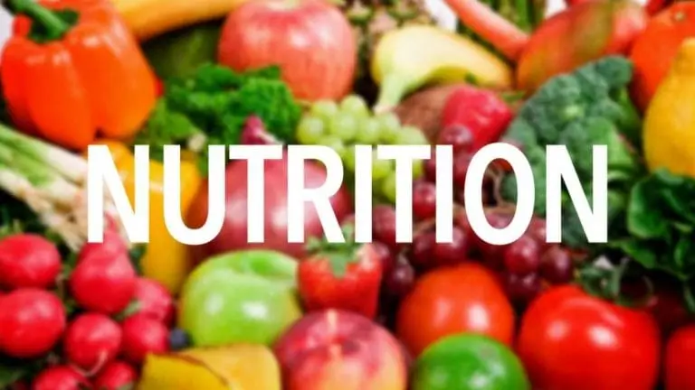 nutrition
