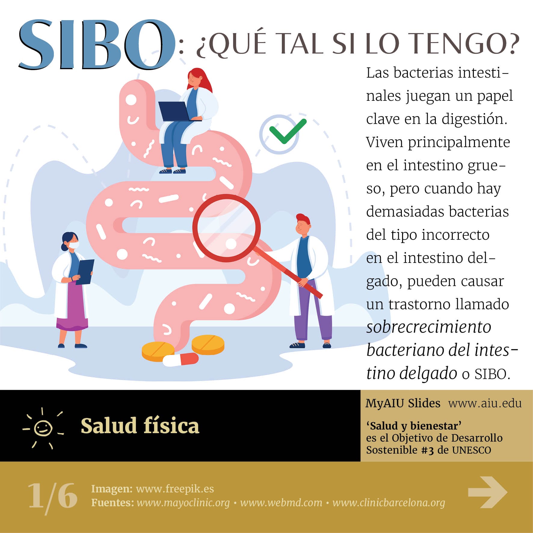 Entendiendo el SIBO: ¿Lo Tengo?