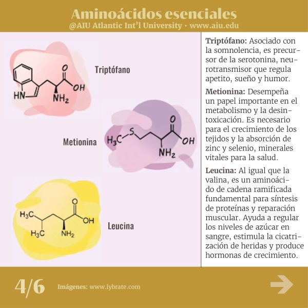 118MyAIUSlidesSpanish04