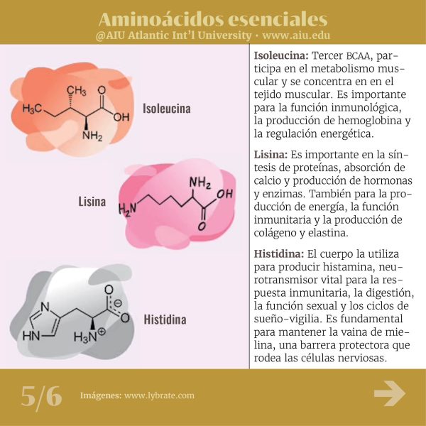 118MyAIUSlidesSpanish05