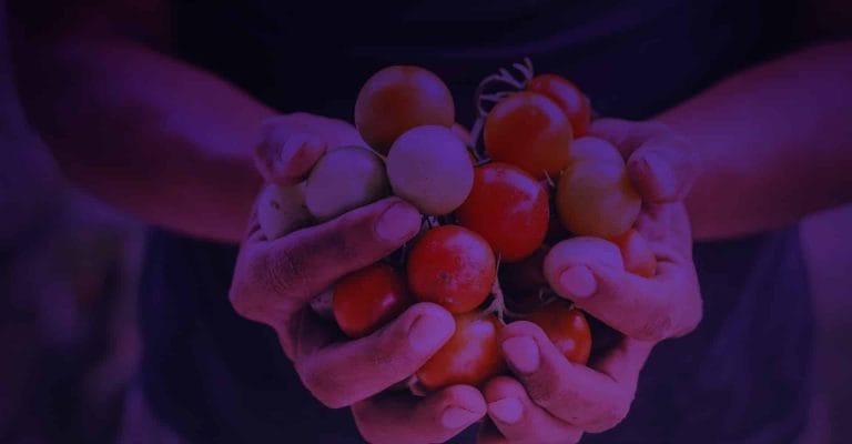 Food Science and Technology