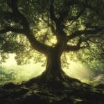 Trees: Nature’s Hidden Methane Fighters
