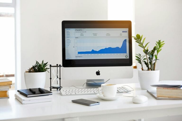 Bachelors in Digital Marketing