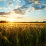 Revolutionizing Agriculture