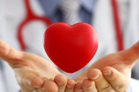 Male medicine doctor hands holding and covering red toy heart
