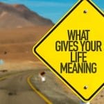 Embedding Purpose at Every Level