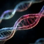 Bioelectricity Rules Biology, Not Just Genes