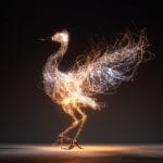 Illuminating Natures Fastest Dance
