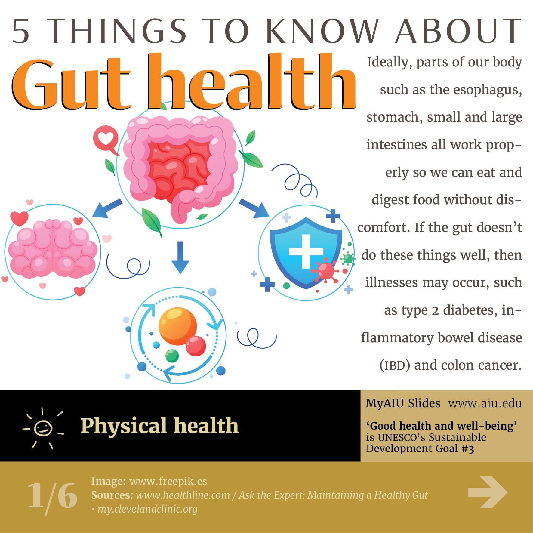 5 Things to know about gut health