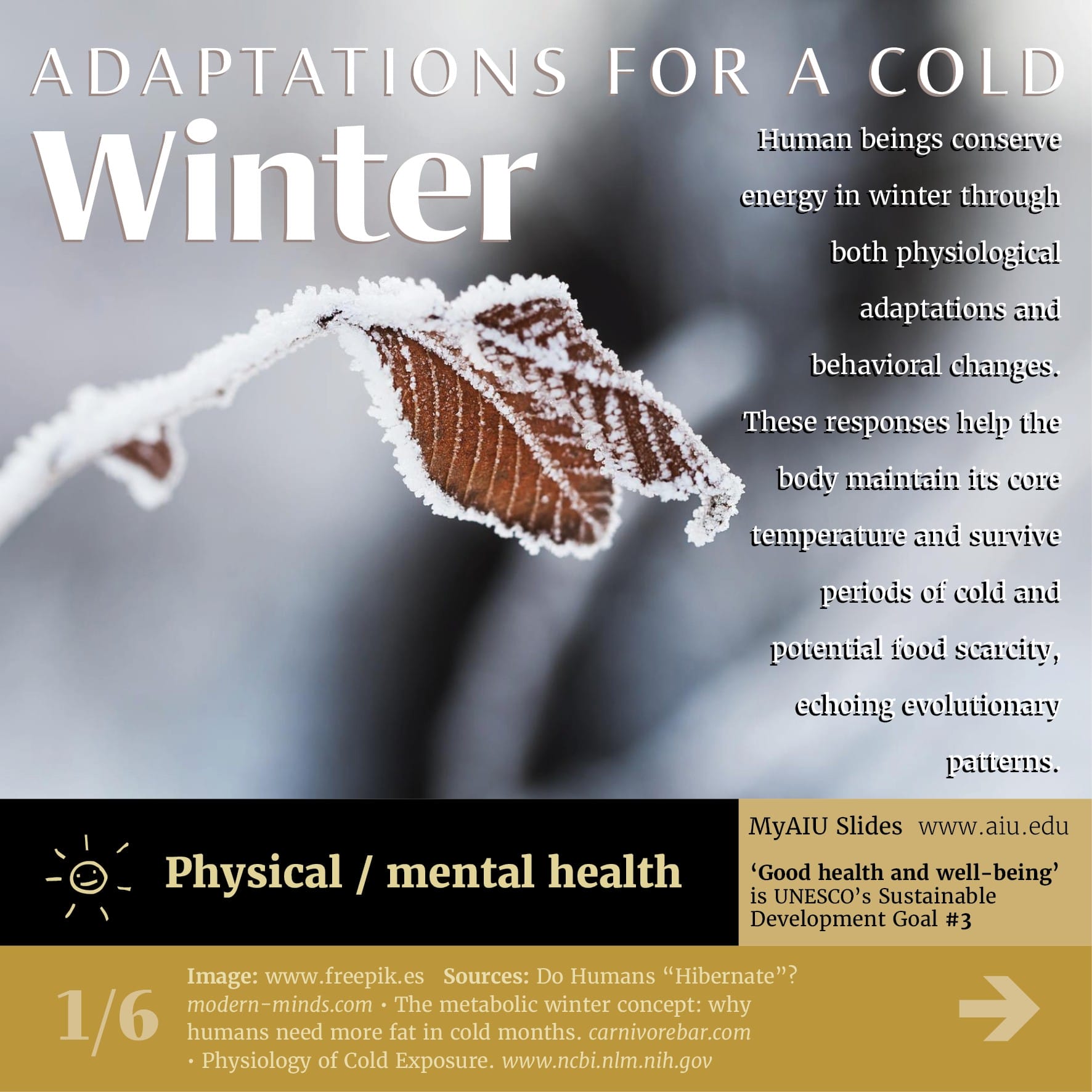 Adaptations for a Cold Winter